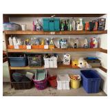 Contents on garage shelves & floor, cleaners,