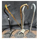 5- Assorted Walking Canes