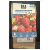 Grow Your Own Strawberry 40 Rooted Plants