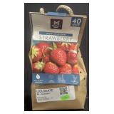 Grow Your Own Strawberry 40 rooted plants