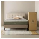 (MSRP: $499) Zinus Night Therapy Medium 12ï¿½