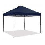 10x10 instant canopy