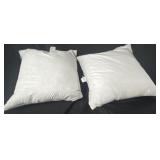 2-Used Pillows