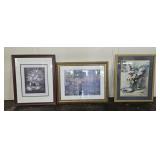 3 framed prints Flower scenes