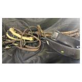 Horse tack: Reins, Straps, and breast collar