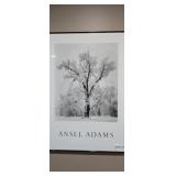 Ansel Adams Print 'Oak Tree, Snowstorm, Yosemite'