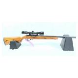RUGER 10/22 22LR & BUSHNELL SCOPE