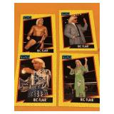 Ric Flair Wcw wrestling cards