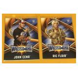 Wrestling WWE John Sina in Ric Flair w