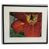 Framed flower picture