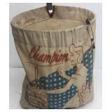 Clothes pins and clothes pin bag with hanger