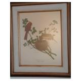 Glen Wilson Cardinal Family Print