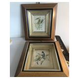 Bird prints