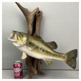 Taxidermy Bass Mount