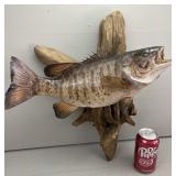 Taxidermy Smallmouth Bass Mount