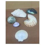 Seashells and clamshell