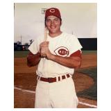 Johnny Bench Color poster photo 16' x 12'