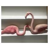 Pink flamingos