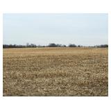 INVESTMENT OPPORTUNITY