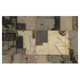 Tracts ranging from 5 Acres to 102 Acres