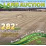 PREMIER LAND AUCTION - 282+- Acres **SOLD $2,830,000.00**