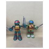 Teenage Mutant Ninja Turtles