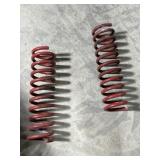 Pair of car springs