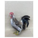 Feather chicken
