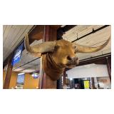 Horned Animal Mount
