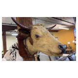 Steer Animal Mount