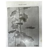Hannah Overbeck: 1905 Keramic Studios Magazine