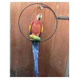 Parakeet store display