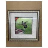Hummingbird print