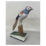German Pipsqueak Bird