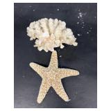 Star fish and coral-NO SHIPPING