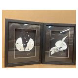 Sand dollar sea wall decor