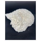Coral large piece
