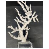Coral-NO SHIPPING