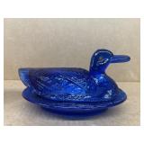 Cobolt blue duck on a nest