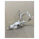 Deer antlers-NO SHIPPING