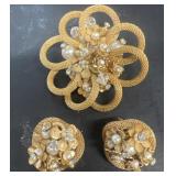 Costume, jewelry, broach and earrings