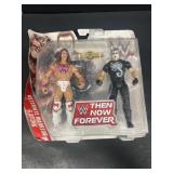 WWE Wrestling, the ultimate warrior and stinging