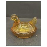Amber hen on a nest