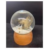 Duck snow globe