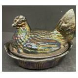 Fenton hen on a nest