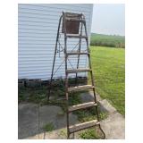 6 foot ladder