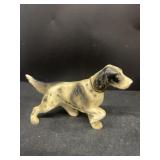 Japanese pointer dog