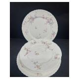 LIOMEGS plates