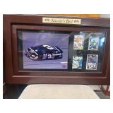 Dale Earnhardt nature's best plaque