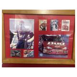 Dale Earnhardt Junior plaque
